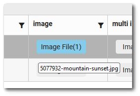 Ent-Web_Forms_Widget-Grid_Entry_Files_Tooltip